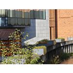 Zdjęcia użytkowników Realme GT8 Pro