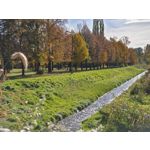 Zdjęcia użytkowników Realme GT8 Pro