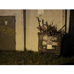 Zdjęcia użytkowników Realme GT8 Pro