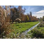 Zdjęcia użytkowników Realme GT8 Pro