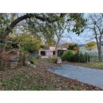 Zdjęcia użytkowników Realme GT8 Pro