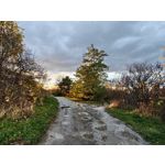 Zdjęcia użytkowników Realme GT8 Pro