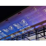 Zdjęcia użytkowników Realme GT8 Pro