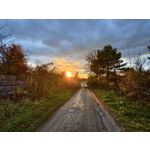 Zdjęcia użytkowników Realme GT8 Pro