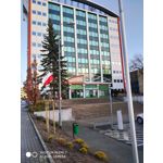 ZDJĘCIA Z TEGO TELEFONU