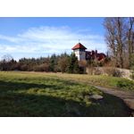 Zdjęcia użytkowników Redmi 8