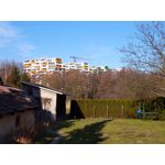 Zdjęcia użytkowników Redmi 8