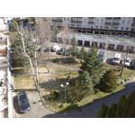 Zdjęcia użytkowników Redmi 8