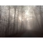 Zdjęcia użytkowników Redmi 9A