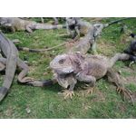 ZDJĘCIA Z TEGO TELEFONU