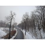 Zdjęcia użytkowników Redmi 9A