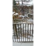 ZDJĘCIA Z TEGO TELEFONU