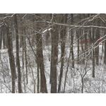 ZDJĘCIA Z TEGO TELEFONU