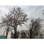 Zdjęcia użytkowników Redmi Note 10 Pro