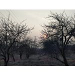 Zdjęcia użytkowników Redmi Note 10 Pro