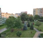 Zdjęcia użytkowników Redmi Note 10