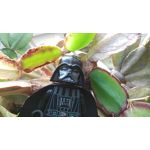 Zdjęcia użytkowników Redmi Note 10