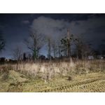 Zdjęcia użytkowników Redmi Note 12 Pro+