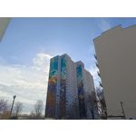 Zdjęcia użytkowników Redmi Note 12 Pro+