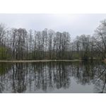 Zdjęcia użytkowników Redmi Note 12 Pro+