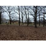 Zdjęcia użytkowników Redmi Note 12 Pro+