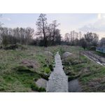 Zdjęcia użytkowników Redmi Note 12 Pro+