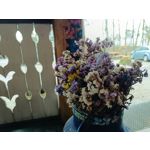 Zdjęcia użytkowników Redmi Note 12 Pro+