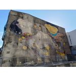 Zdjęcia użytkowników Redmi Note 12 Pro+