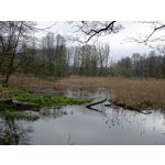 Zdjęcia użytkowników Redmi Note 12 Pro+