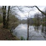 Zdjęcia użytkowników Redmi Note 12 Pro+