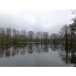 Zdjęcia użytkowników Redmi Note 12 Pro+