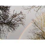 Zdjęcia użytkowników Redmi Note 12 Pro+