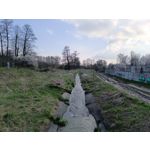 Zdjęcia użytkowników Redmi Note 12 Pro+