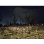 Zdjęcia użytkowników Redmi Note 12 Pro+