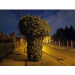 Zdjęcia użytkowników Redmi Note 12 Pro+