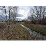 Zdjęcia użytkowników Redmi Note 12 Pro+