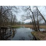 Zdjęcia użytkowników Redmi Note 12 Pro+