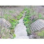 Zdjęcia użytkowników Redmi Note 12 Pro+