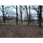 Zdjęcia użytkowników Redmi Note 12 Pro+