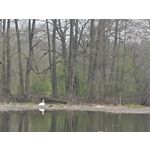 Zdjęcia użytkowników Redmi Note 12 Pro+