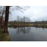 Zdjęcia użytkowników Redmi Note 12 Pro+