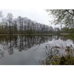 Zdjęcia użytkowników Redmi Note 12 Pro+