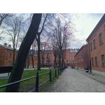 Zdjęcia użytkowników Redmi Note 12 Pro+