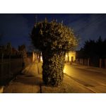 Zdjęcia użytkowników Redmi Note 12 Pro+