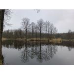 Zdjęcia użytkowników Redmi Note 12 Pro+