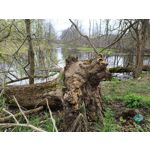 Zdjęcia użytkowników Redmi Note 12 Pro+