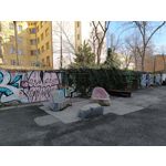 Zdjęcia użytkowników Redmi Note 12 Pro+