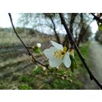 Zdjęcia użytkowników Redmi Note 12 Pro+