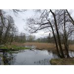 Zdjęcia użytkowników Redmi Note 12 Pro+