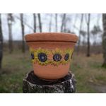 Zdjęcia użytkowników Redmi Note 12 Pro+